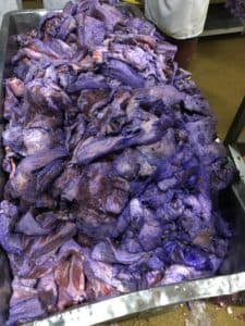 Elite 360 Phase 1 Results